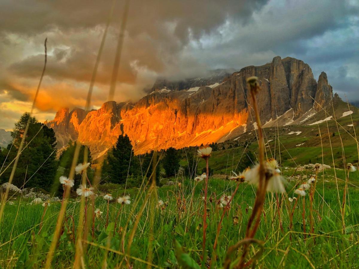 Passo Sella Dolomiti Mountain Resort Selva di Val Gardena Eksteriør bilde
